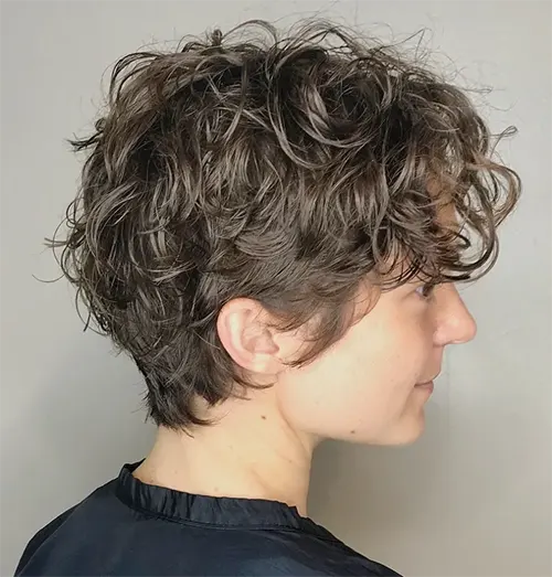 Tousled Pixie em um Cabelo Cacheado Tousled Pixie em um Cabelo Cacheado