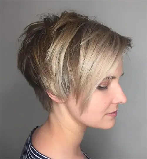 Tapered Shaggy Pixie em um Cabelo Liso Tapered Shaggy Pixie em um Cabelo Liso