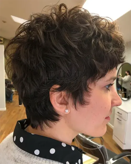 Shaggy Pixie Shaggy Pixie